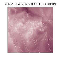 saia - 2026-03-01T08:00:09.625000