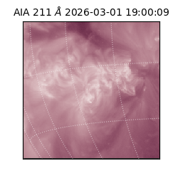 saia - 2026-03-01T19:00:09.618000