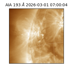 saia - 2026-03-01T07:00:04.846000