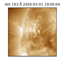 saia - 2026-03-01T19:00:04.835000