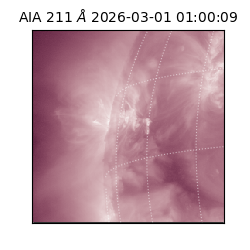 saia - 2026-03-01T01:00:09.631000