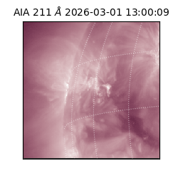 saia - 2026-03-01T13:00:09.626000