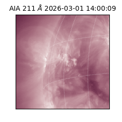 saia - 2026-03-01T14:00:09.619000