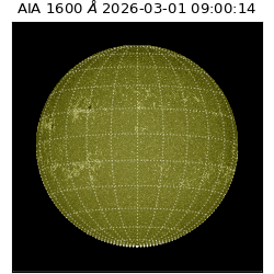 saia - 2026-03-01T09:00:14.118000