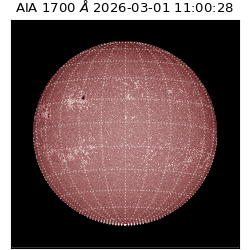 saia - 2026-03-01T11:00:28.717000