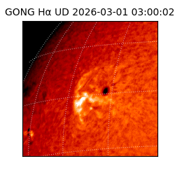 gong - 2026-03-01T03:00:02