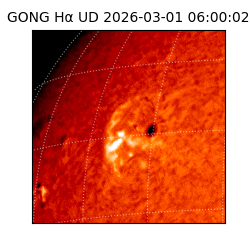 gong - 2026-03-01T06:00:02