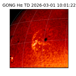 gong - 2026-03-01T10:01:22