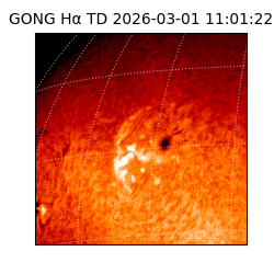 gong - 2026-03-01T11:01:22
