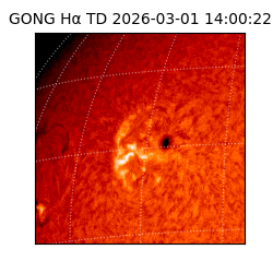 gong - 2026-03-01T14:00:22