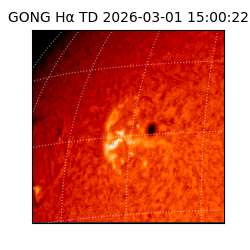 gong - 2026-03-01T15:00:22