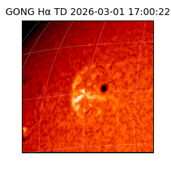 gong - 2026-03-01T17:00:22