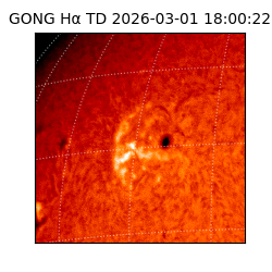 gong - 2026-03-01T18:00:22