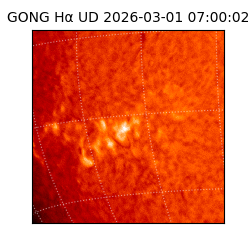 gong - 2026-03-01T07:00:02