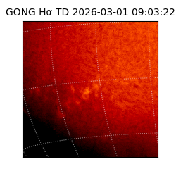 gong - 2026-03-01T09:03:22