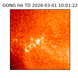 gong - 2026-03-01T10:01:22