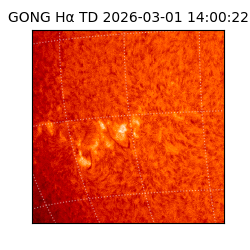 gong - 2026-03-01T14:00:22