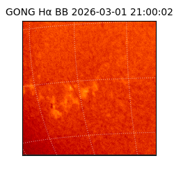 gong - 2026-03-01T21:00:02