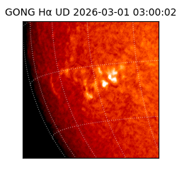 gong - 2026-03-01T03:00:02