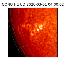 gong - 2026-03-01T04:00:02