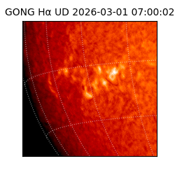 gong - 2026-03-01T07:00:02