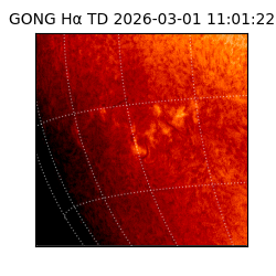 gong - 2026-03-01T11:01:22