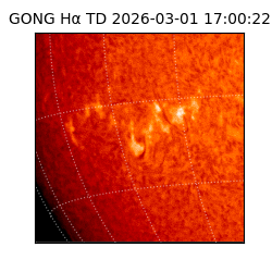 gong - 2026-03-01T17:00:22