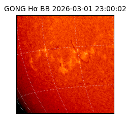 gong - 2026-03-01T23:00:02