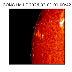 gong - 2026-03-01T01:00:42