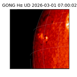 gong - 2026-03-01T07:00:02