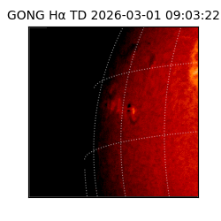 gong - 2026-03-01T09:03:22