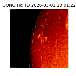 gong - 2026-03-01T10:01:22
