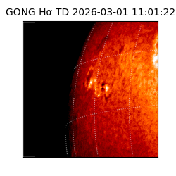 gong - 2026-03-01T11:01:22