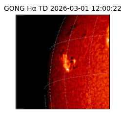 gong - 2026-03-01T12:00:22