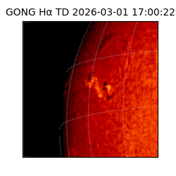 gong - 2026-03-01T17:00:22