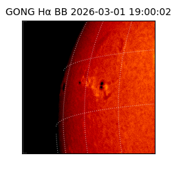 gong - 2026-03-01T19:00:02