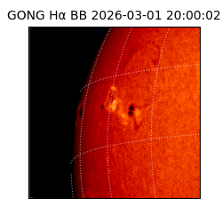 gong - 2026-03-01T20:00:02
