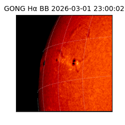 gong - 2026-03-01T23:00:02