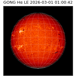gong - 2026-03-01T01:00:42