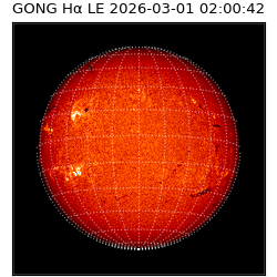 gong - 2026-03-01T02:00:42