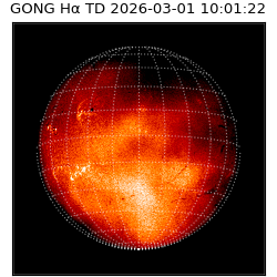 gong - 2026-03-01T10:01:22