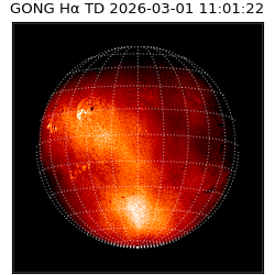 gong - 2026-03-01T11:01:22