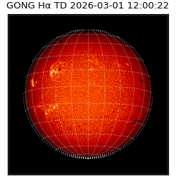 gong - 2026-03-01T12:00:22