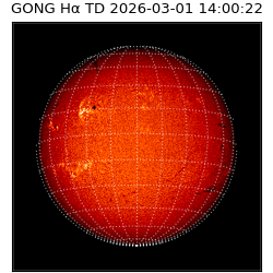 gong - 2026-03-01T14:00:22