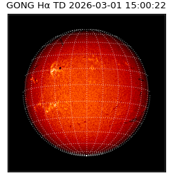 gong - 2026-03-01T15:00:22