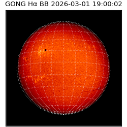 gong - 2026-03-01T19:00:02