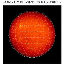 gong - 2026-03-01T20:00:02