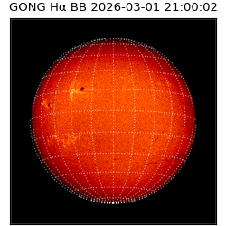 gong - 2026-03-01T21:00:02