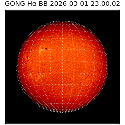 gong - 2026-03-01T23:00:02