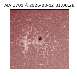 saia - 2026-03-02T01:00:28.718000